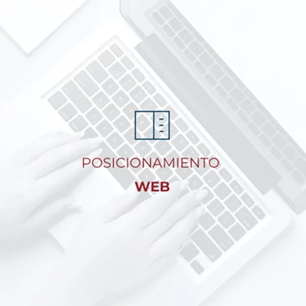 POSICIONAMIENTO WEB